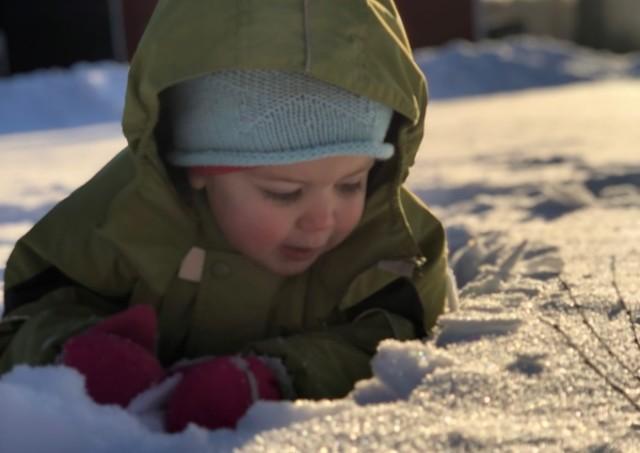 Pieni lapsi ihmettelee lunta.